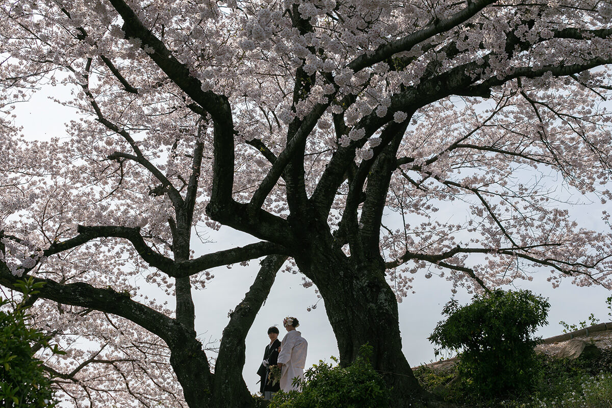 Tanematsuyama Koen/[Okayama/Japan]