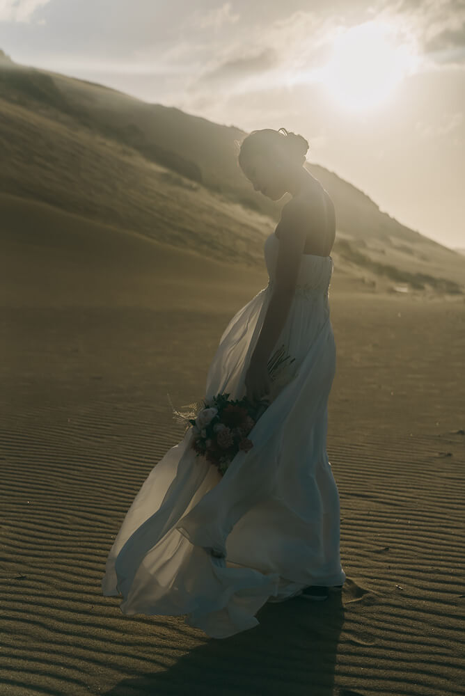 Tottori Sand Dunes/[Okayama/Japan]