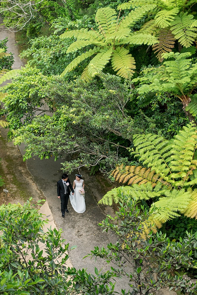 Bios Hill / Okinawa