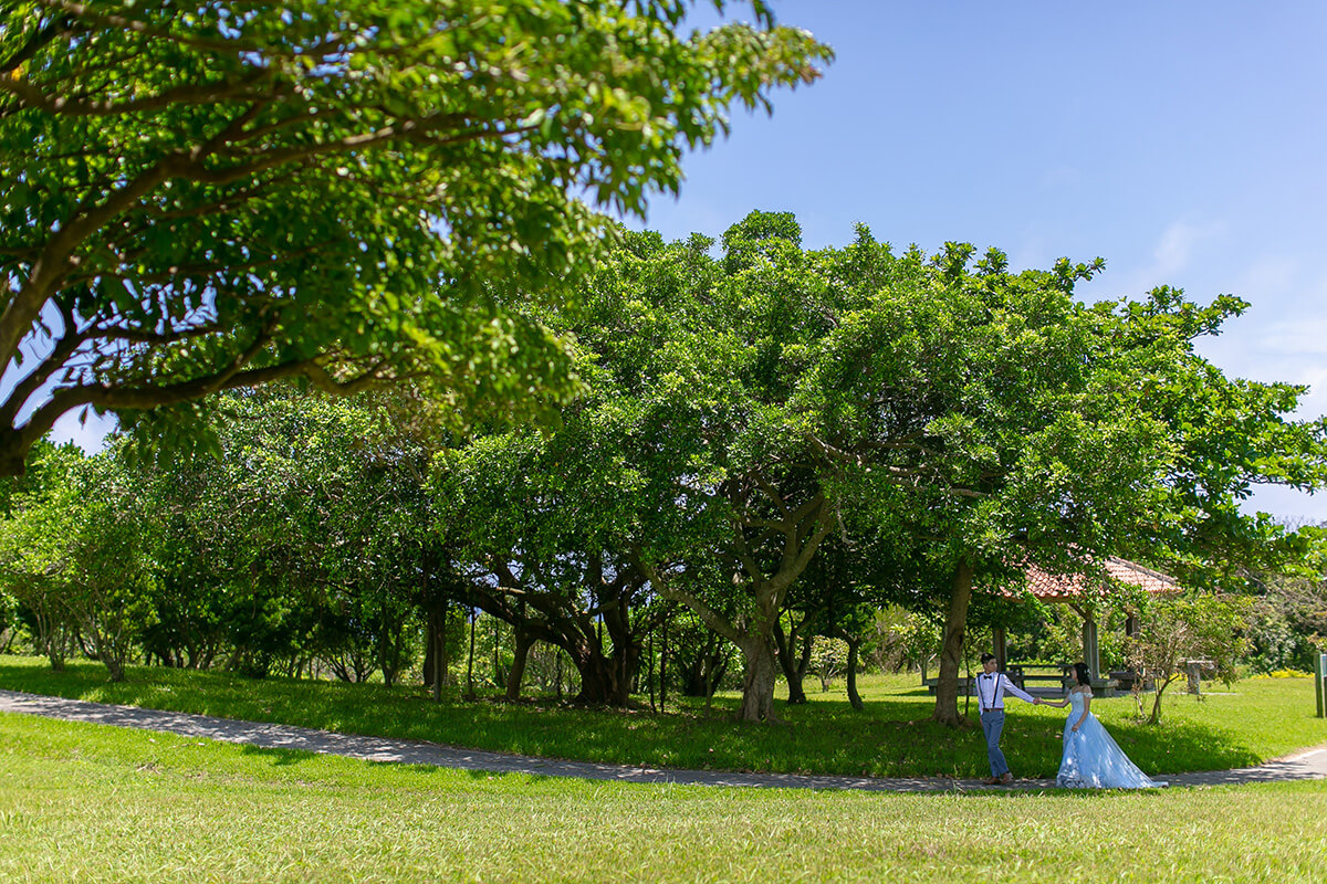 Heiwasouzounomori Park/ Okinawa