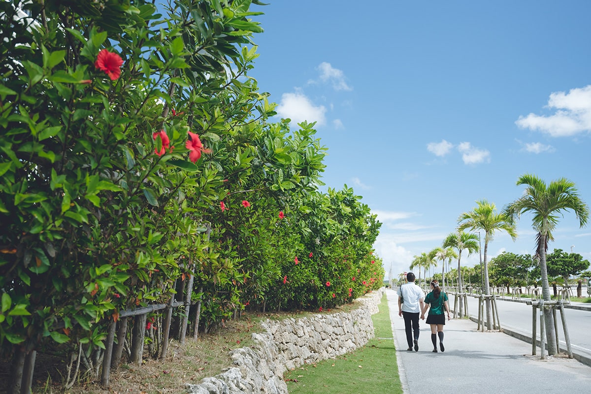 Photo Gallery of Southern Beach Hotel Resort[Okinawa/Japan]