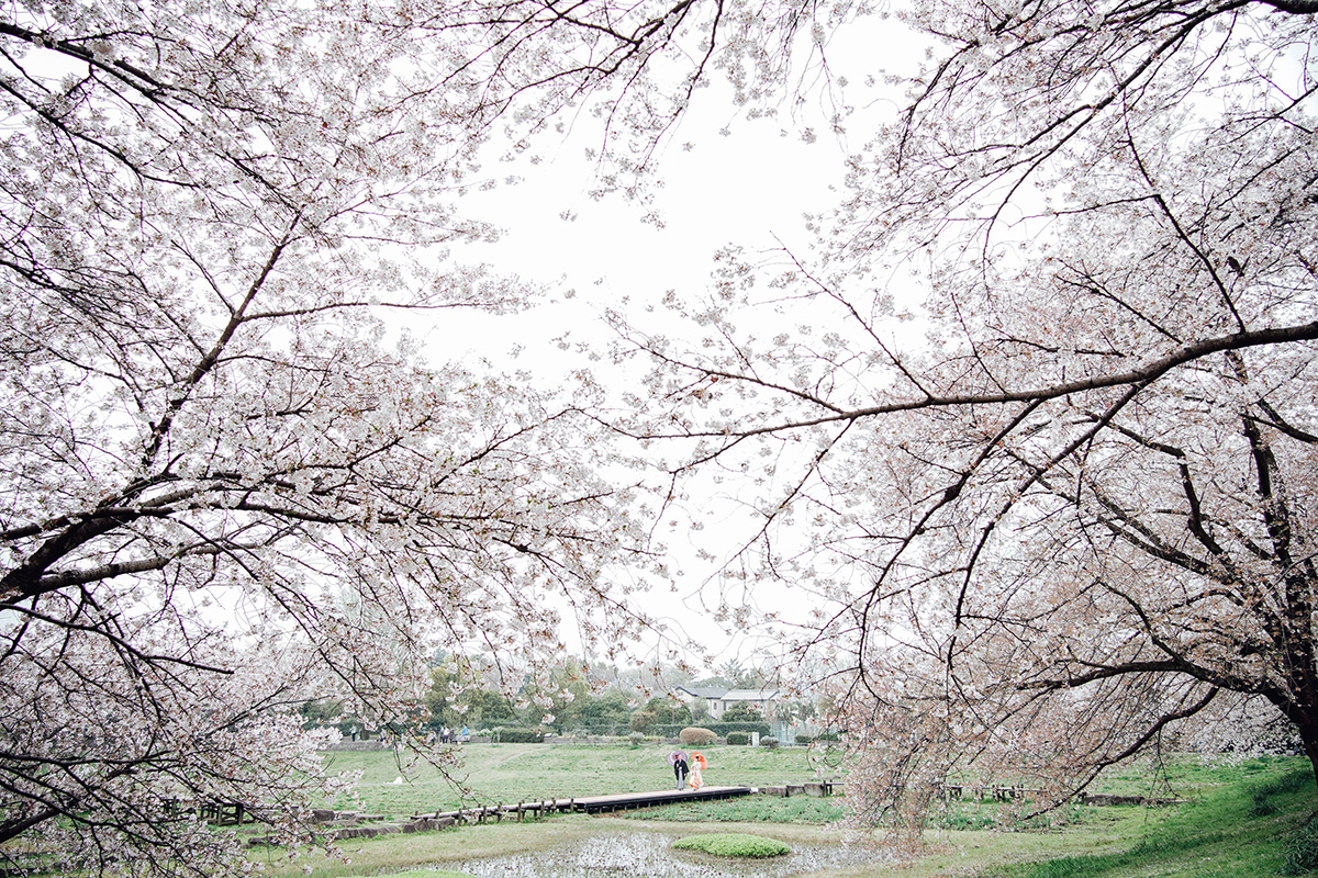 Omiya second park/[Omiya/Japan]