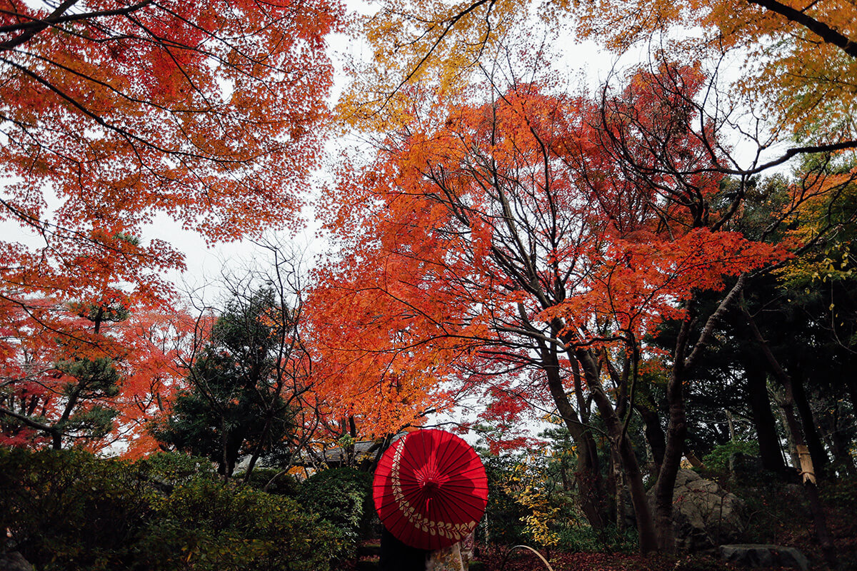 Hanata-en/[Omiya/Japan]