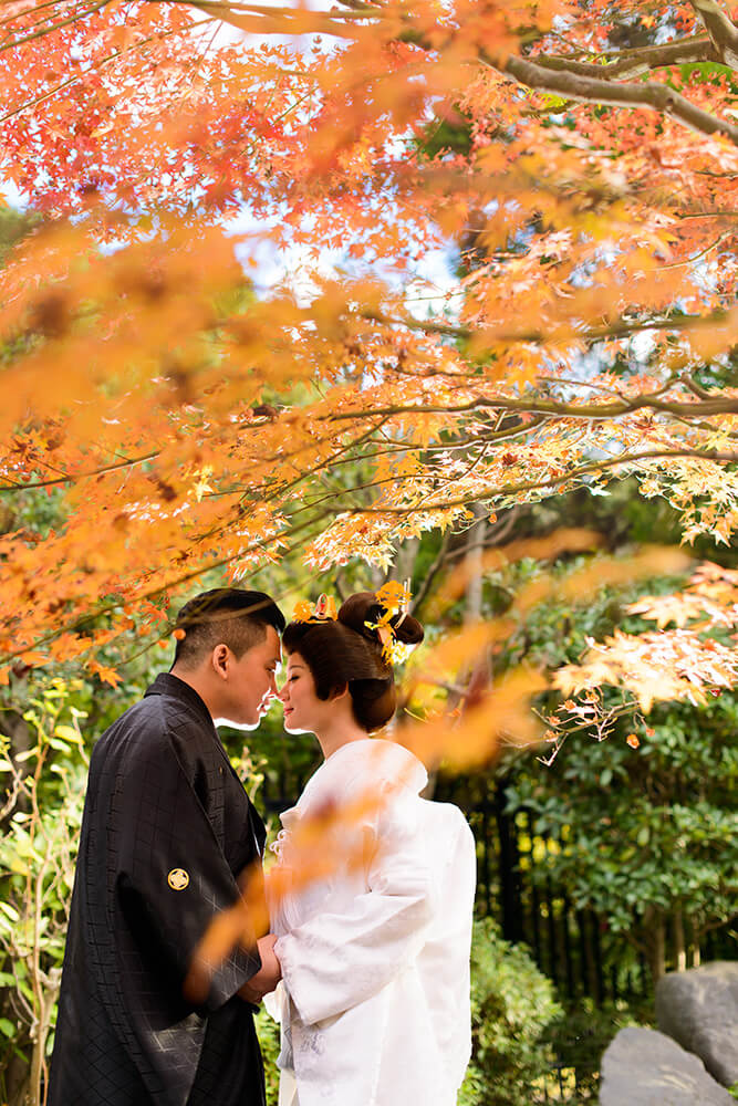 Daisen Park Osaka