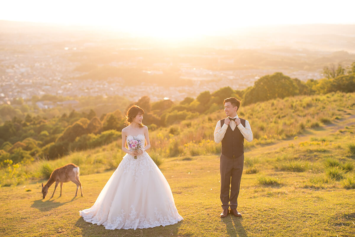 Mt. Wakakusa Nara