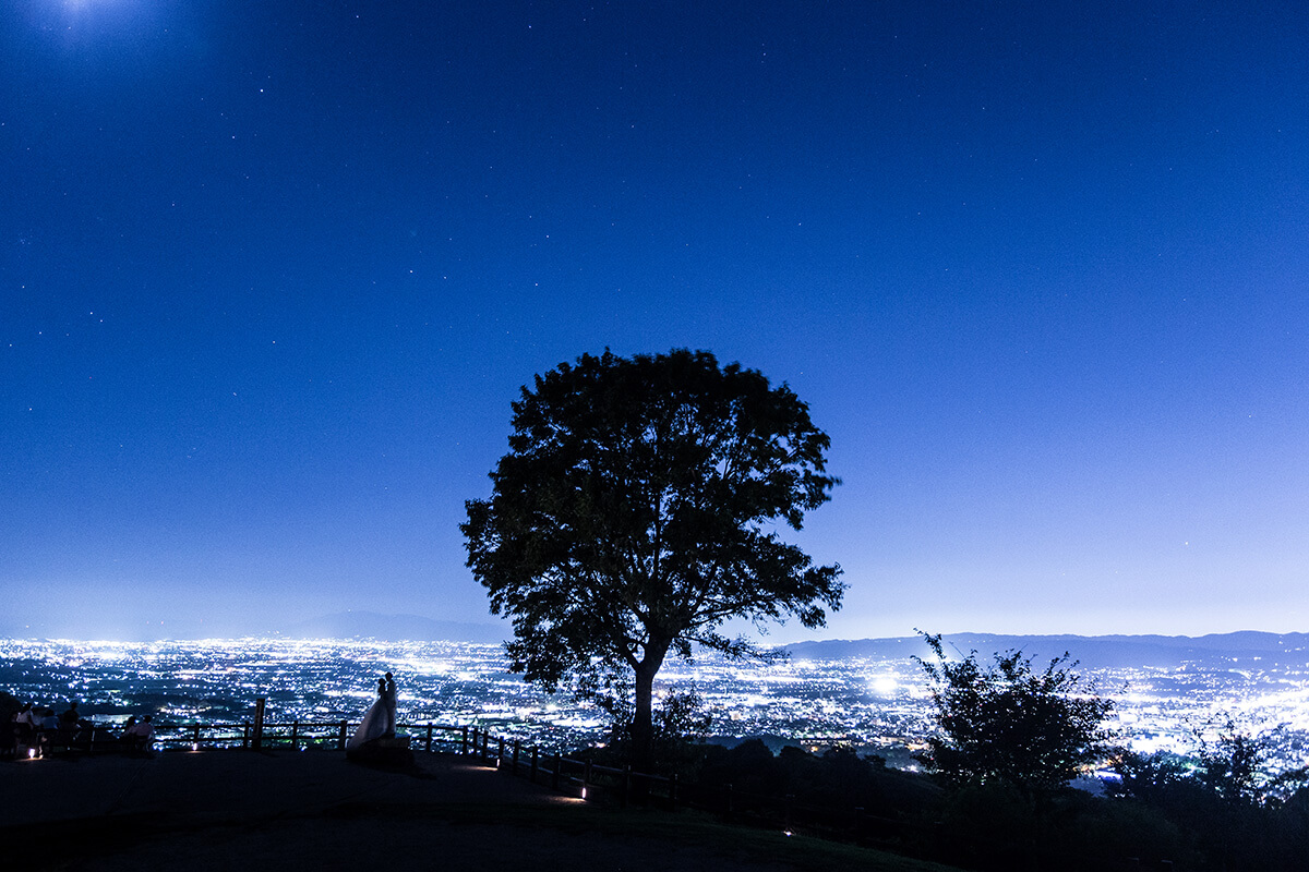 Mt. Wakakusa Nara