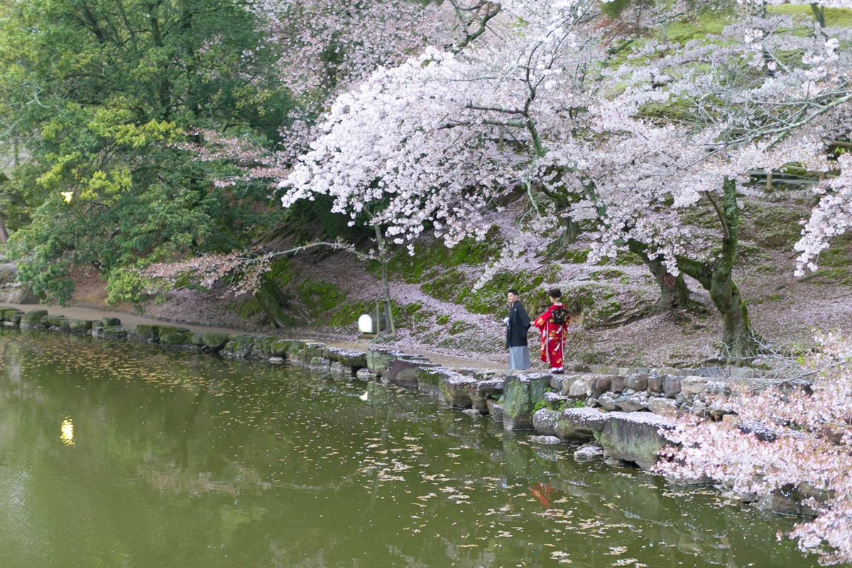 Nara Park