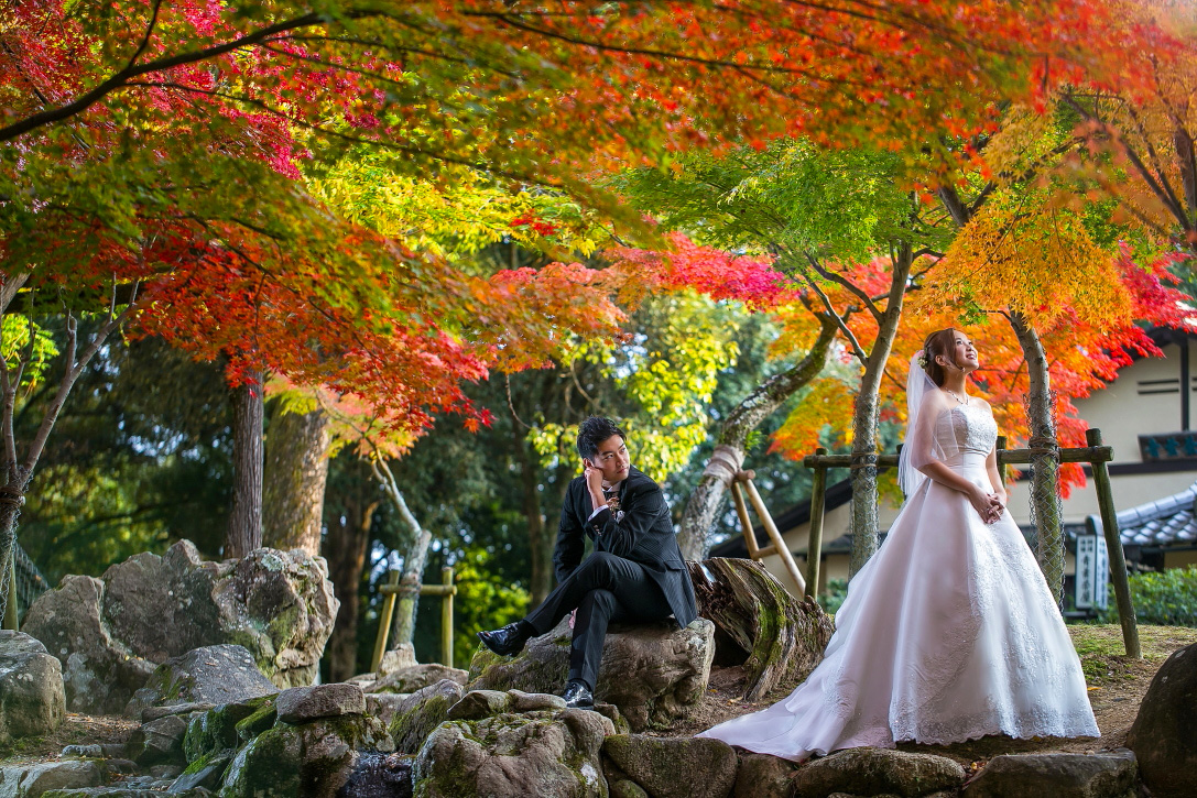 Nara Park