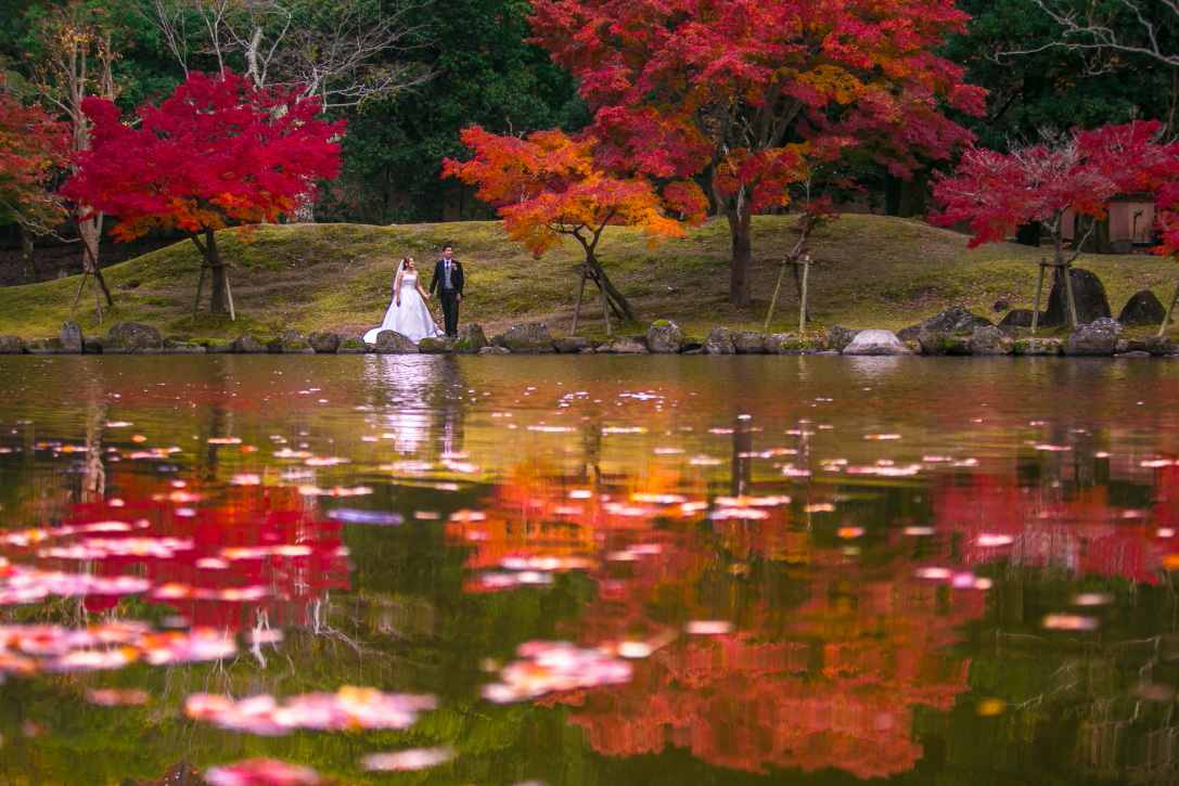 Nara Park