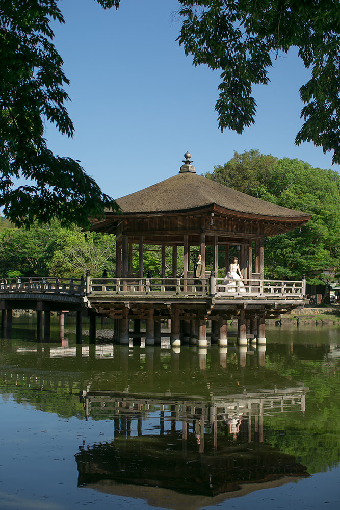 Nara Park Nara