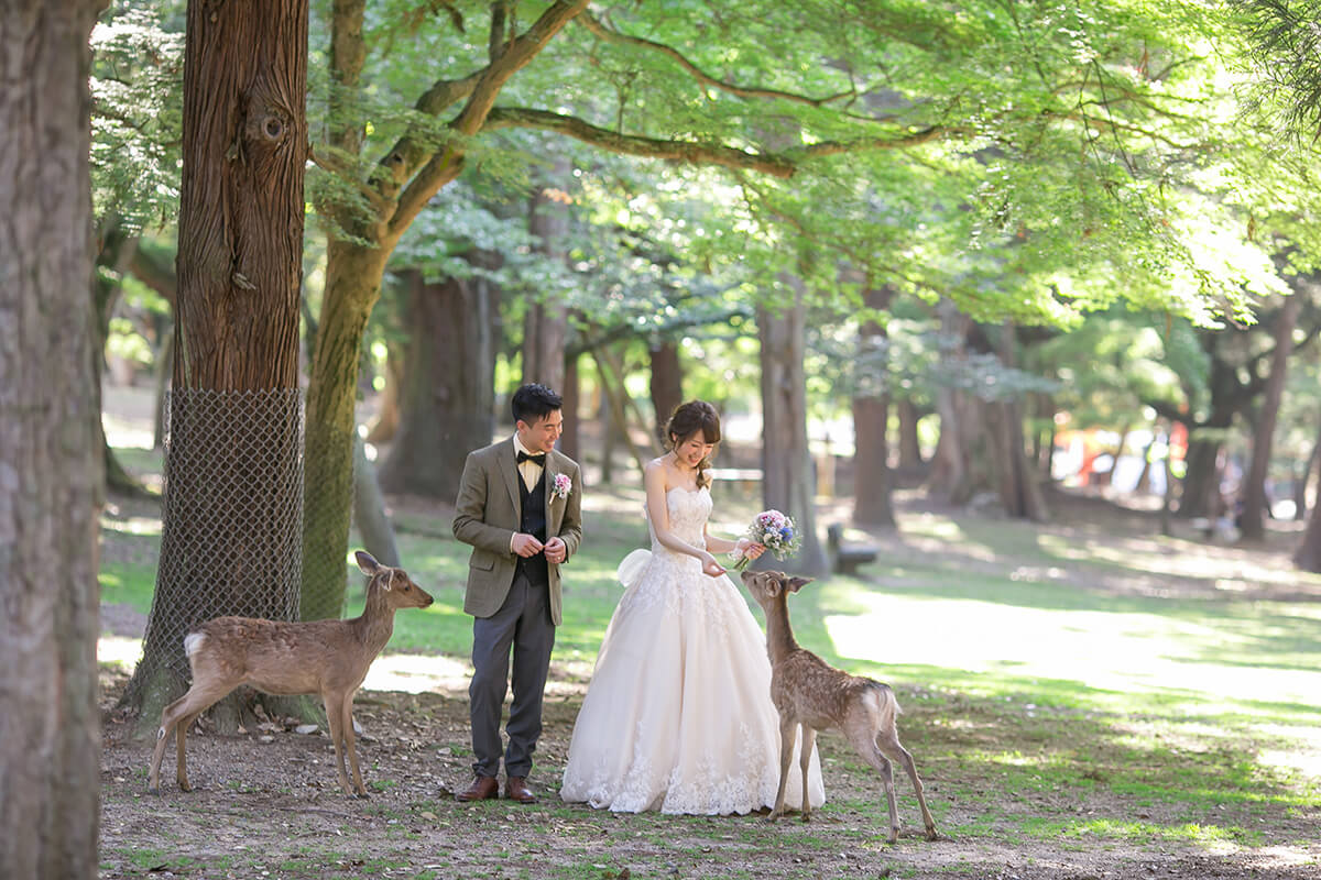 Nara Park