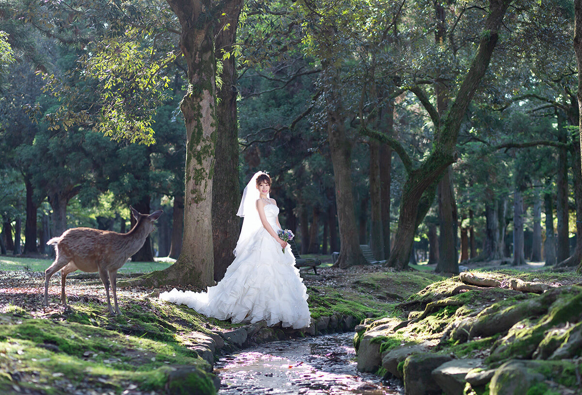 Nara Park