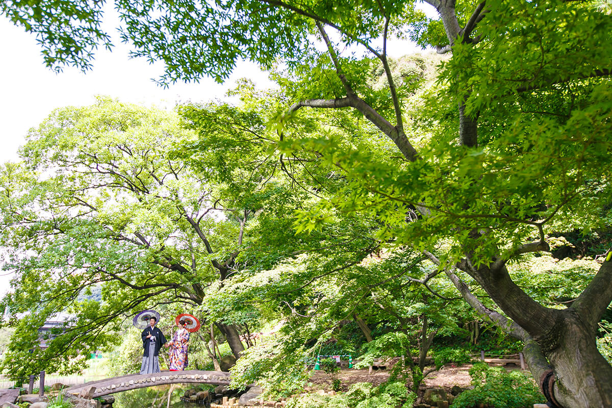 Higo-Hosokawa Teien Tokyo