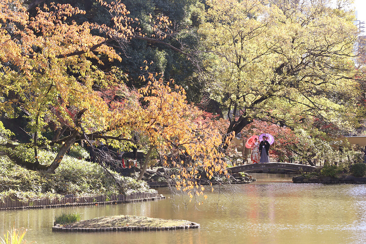 Higo-Hosokawa Teien Tokyo