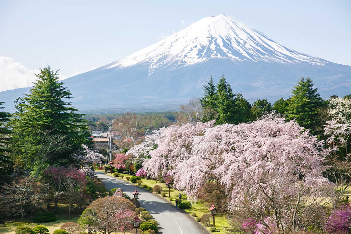 Mt. Fuji Tokyo