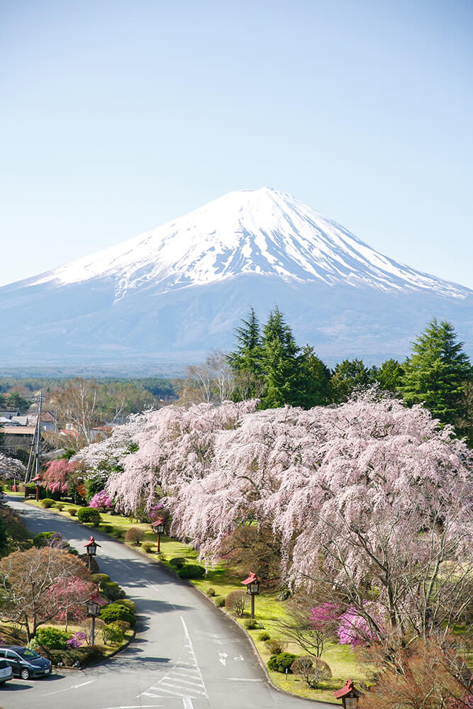 Mt. Fuji Tokyo