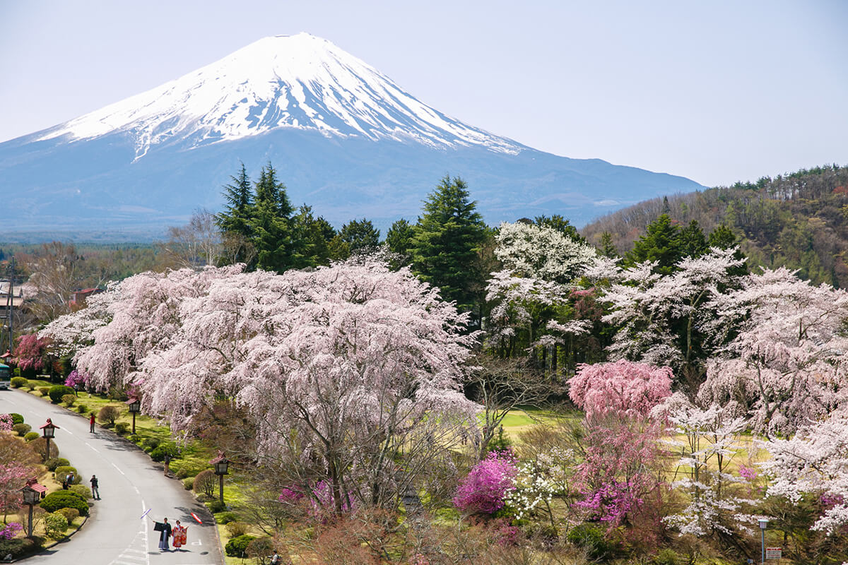 Mt. Fuji