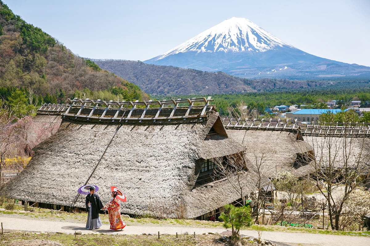 Mt. Fuji Tokyo