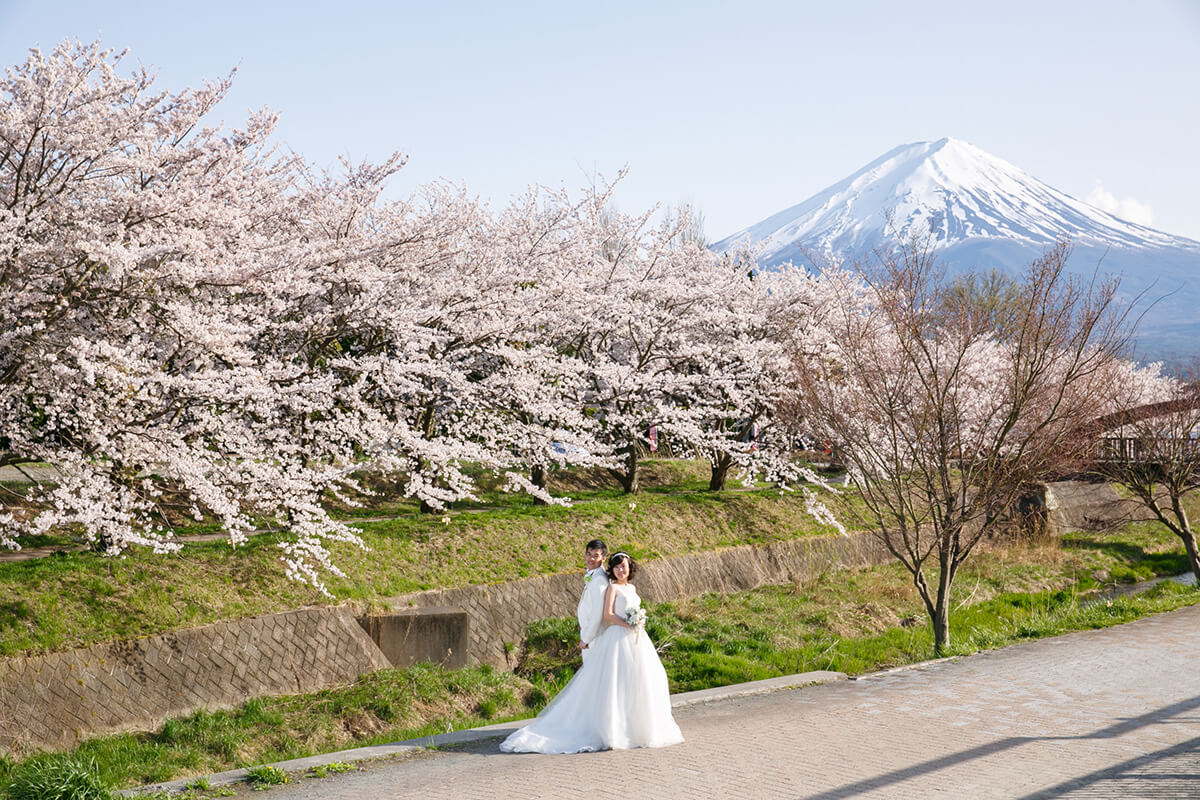 Mt. Fuji Tokyo