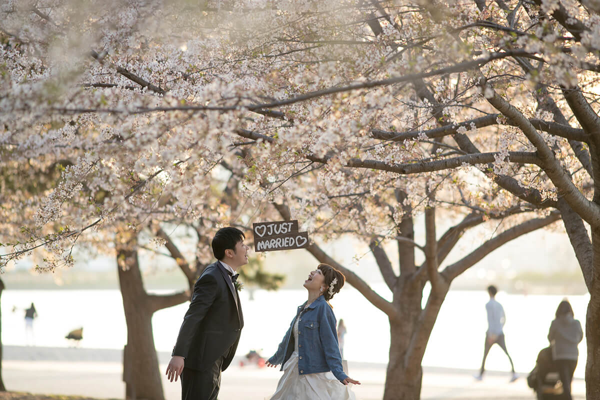 Odaiba Park