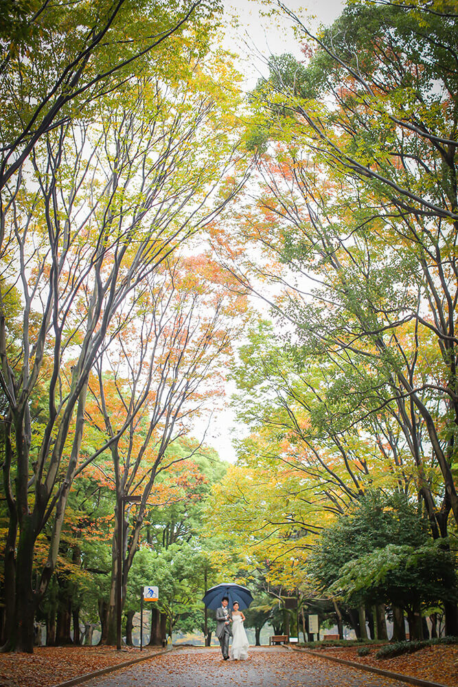 Yoyogi Park Tokyo