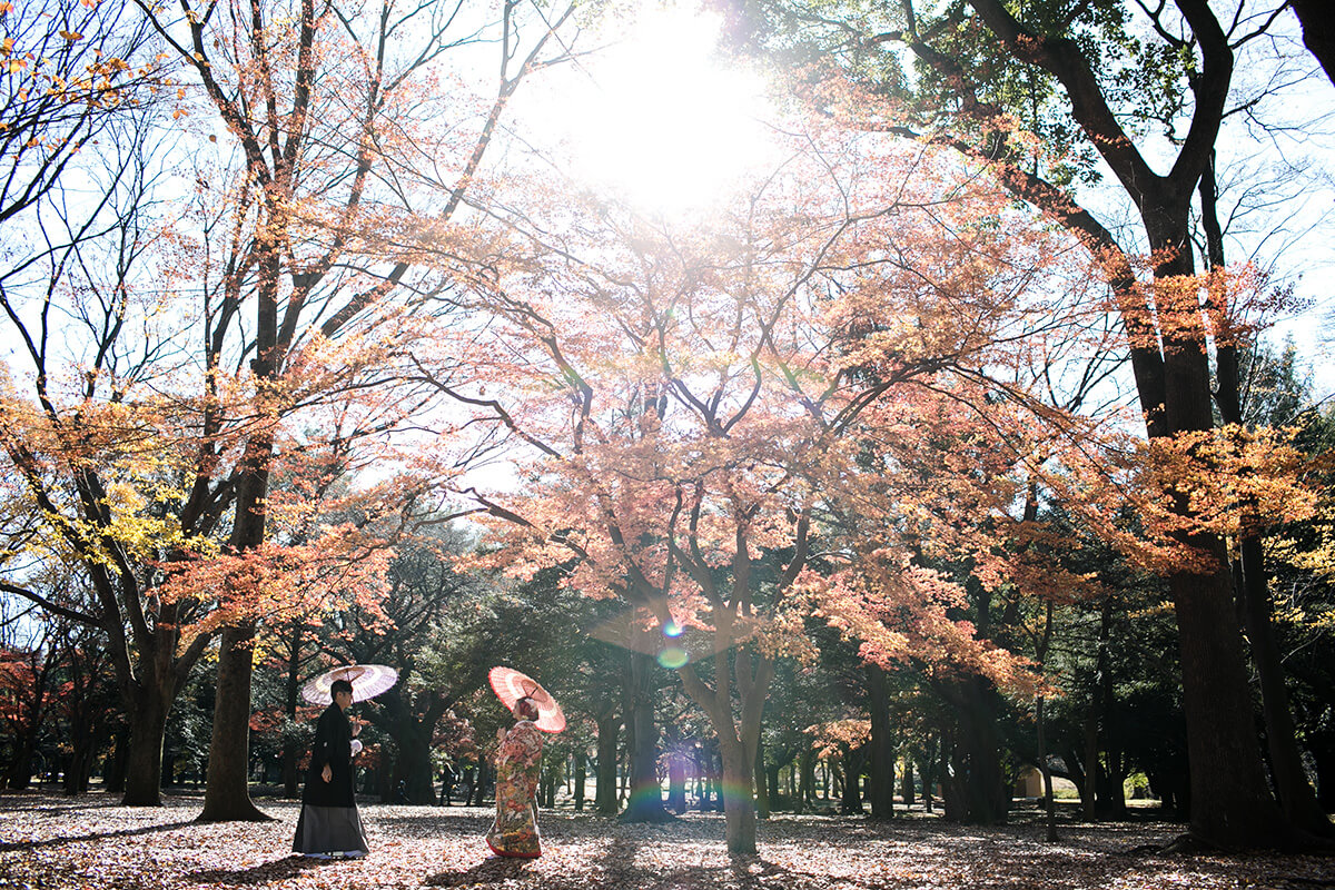 Yoyogi Park Tokyo