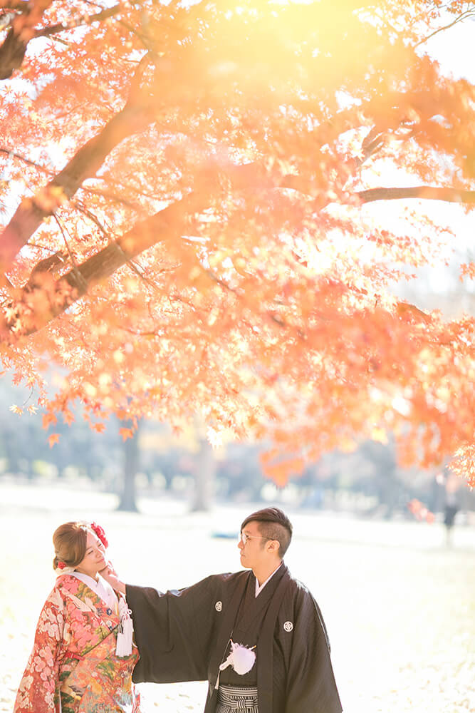 Yoyogi Park Tokyo