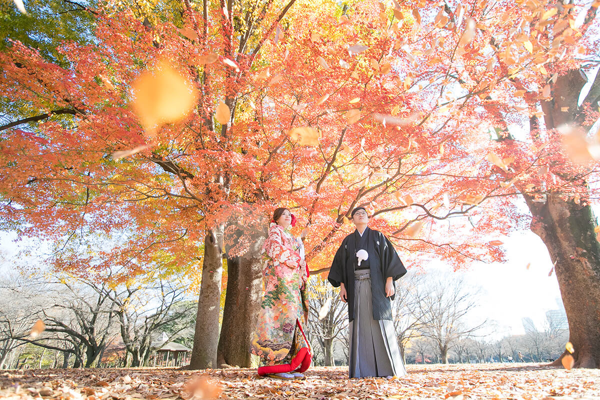 Yoyogi Park Tokyo