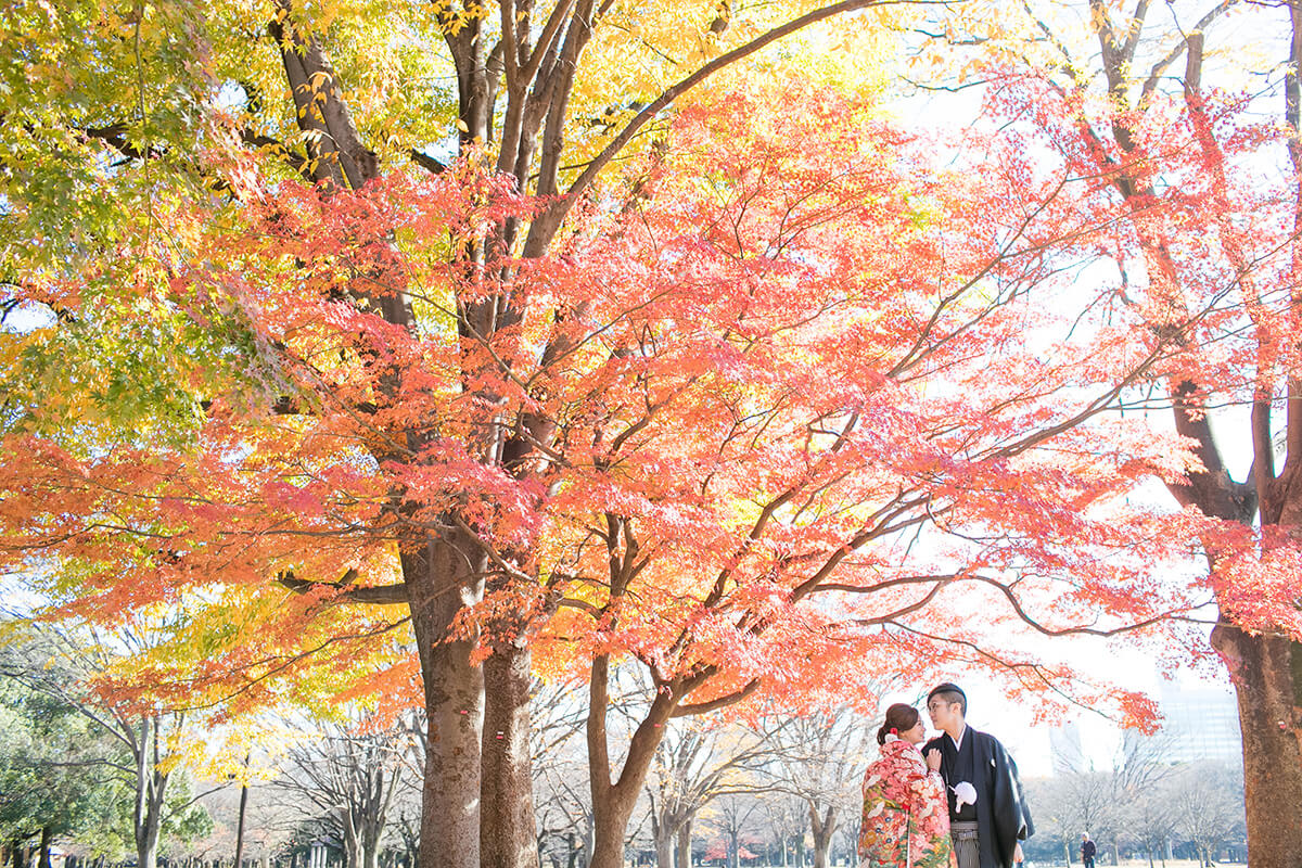 Yoyogi Park Tokyo