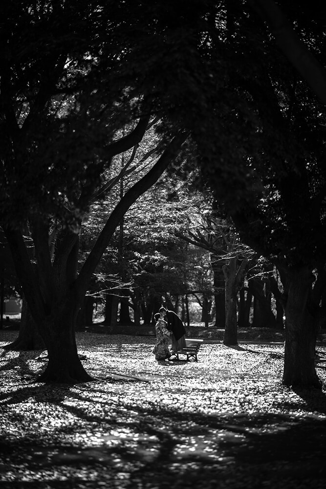 Yoyogi Park Tokyo