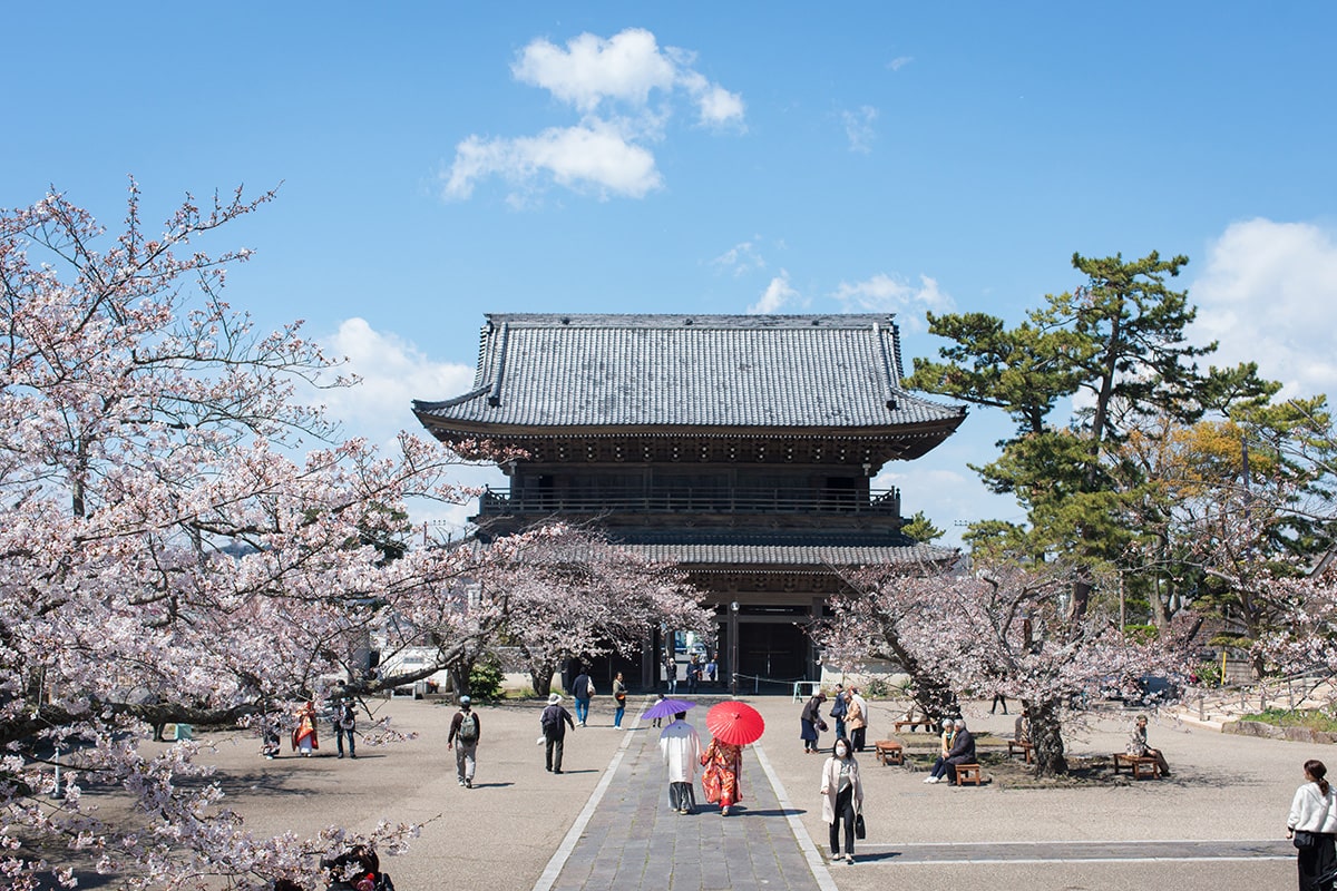 Kamakura Yokohama