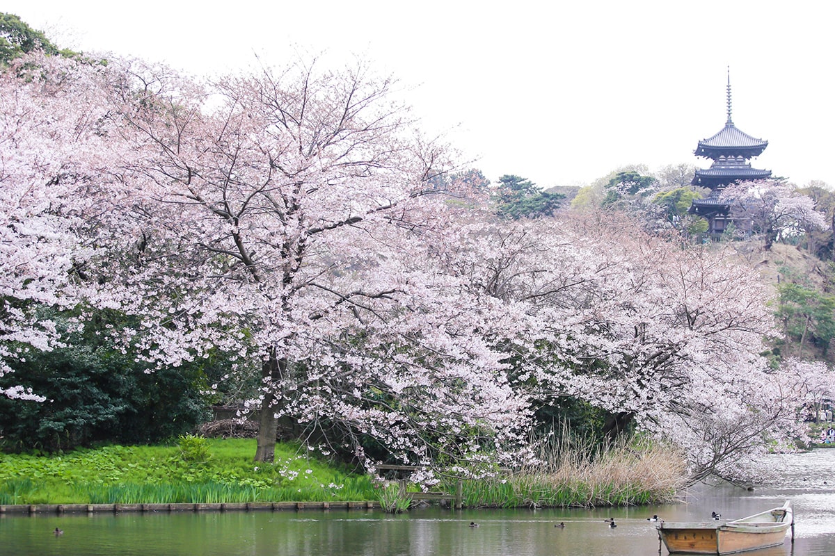 Sankeien Yokohama