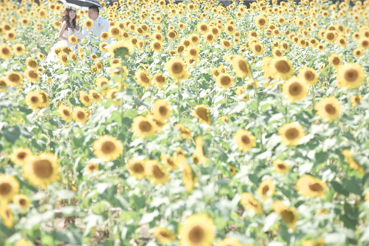 PHOTOGRAPHER-Fukuoka-HAJIME[Fukuoka/Japan]