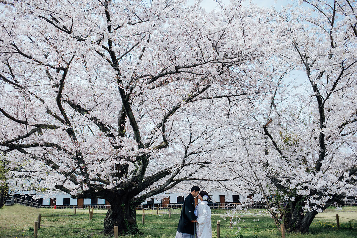 PHOTOGRAPHER -Fukuoka-/kazuki[Fukuoka/Japan]