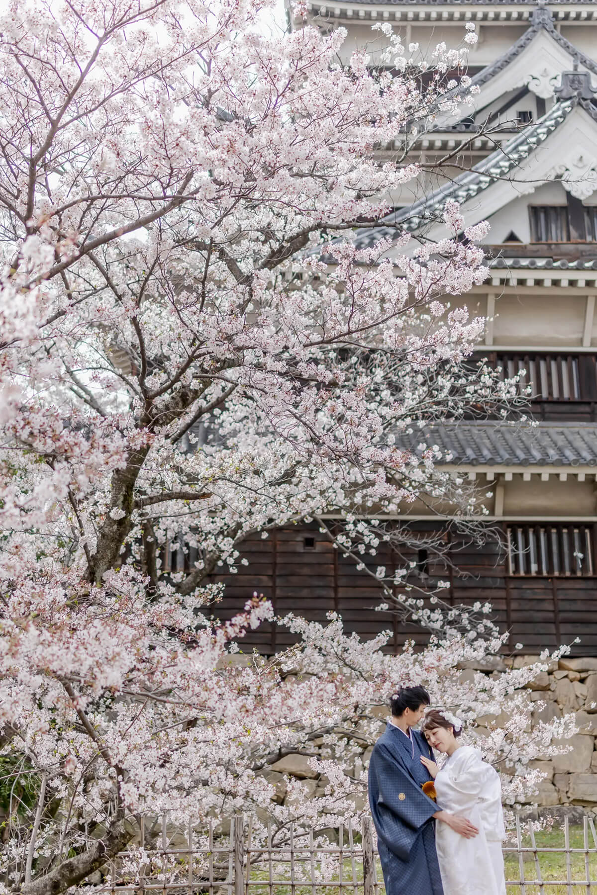 PHOTOGRAPHER-Hiroshima-tsubasa[Hiroshima/Japan]