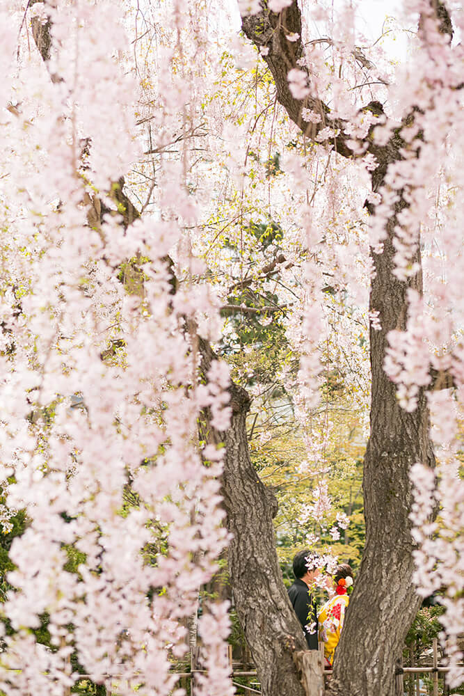 PHOTOGRAPHER -Hokkaido- NAOTO[Hokkaido/Japan]