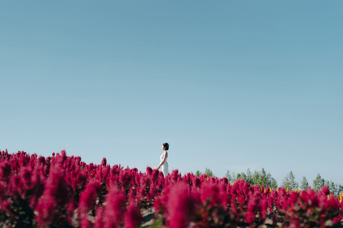 PHOTOGRAPHER -Hokkaido- Tatsu[Hokkaido/Japan]