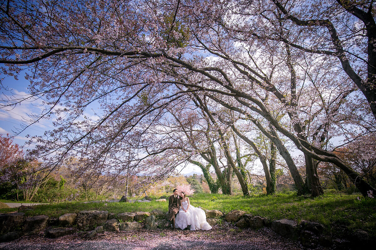 PHOTOGRAPHER -Kanazawa- Satsuki[Kanazawa/Japan]