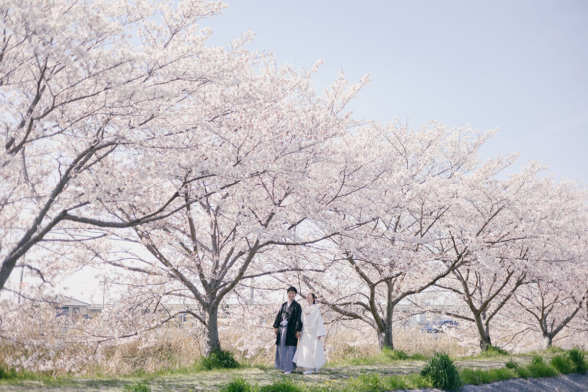 PHOTOGRAPHER -Kansai-/chifuyu[Kansai/Japan]