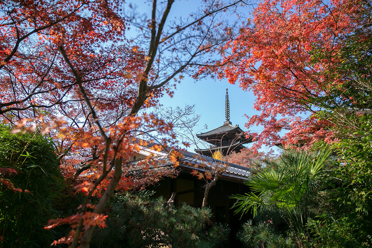 PHOTOGRAPHER -Kansai-/GUEN[Kansai/Japan]