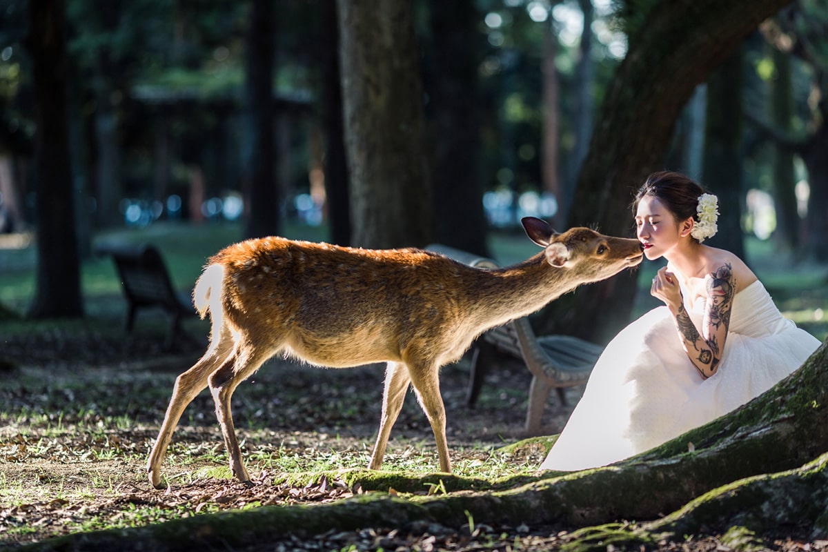 PHOTOGRAPHER -Kansai-/HAYATO[Kansai/Japan]