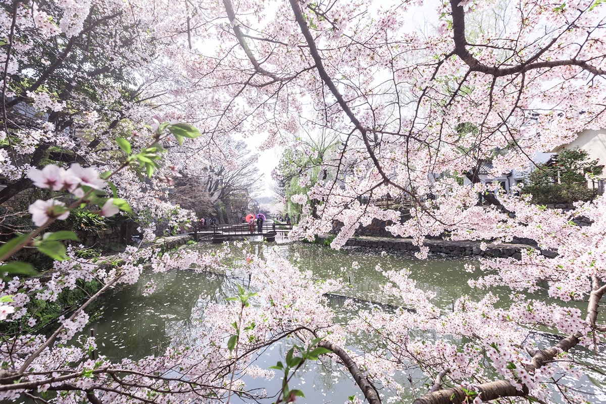 PHOTOGRAPHER -Kansai-/HAYATO[Kansai/Japan]