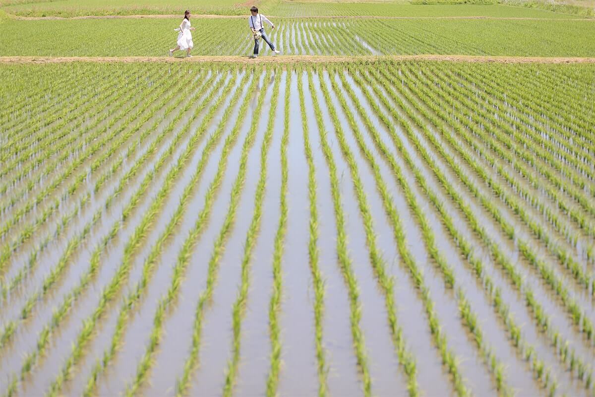 PHOTOGRAPHER -Kansai-/imani[Kansai/Japan]