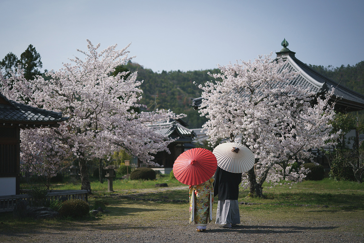 PHOTOGRAPHER -Kansai-/shinomiya[Kansai/Japan]