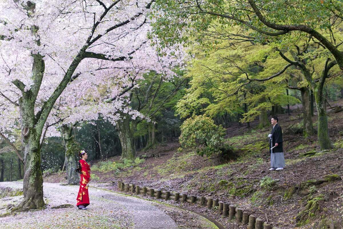 PHOTOGRAPHER -Kansai-/TSUBAI[Kansai/Japan]