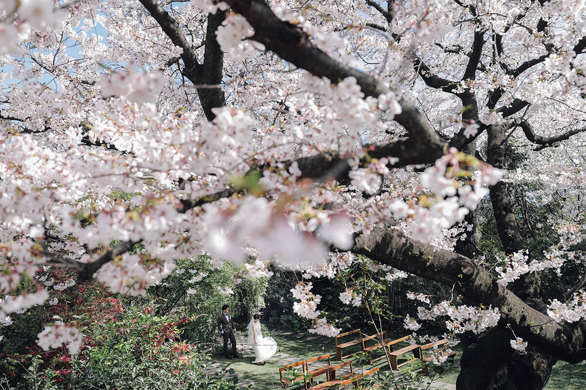 PHOTOGRAPHER -Kanto- eita[Kanto/Japan]