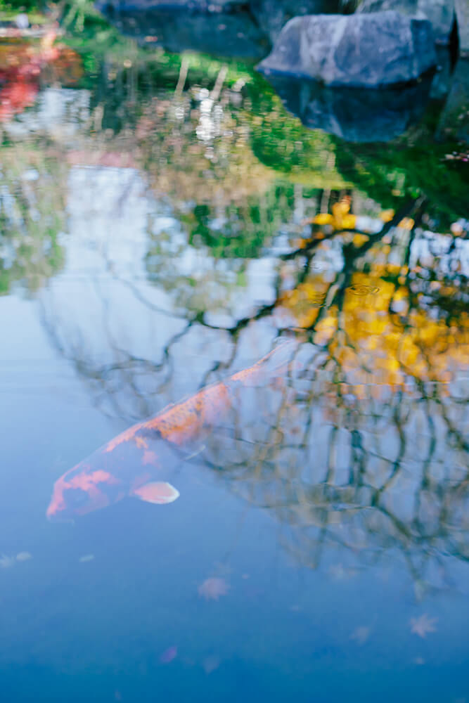 PHOTOGRAPHER -Kanto- ITO[Kanto/Japan]