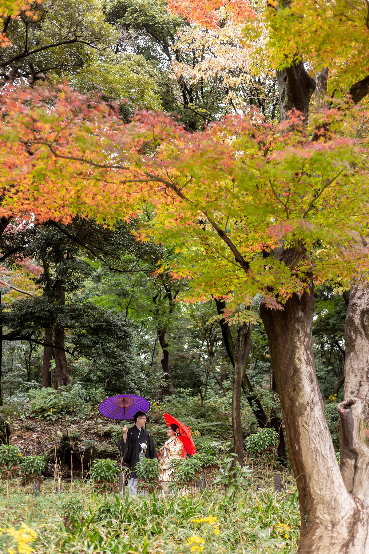 PHOTOGRAPHER -Kanto- KUNINORI[Kanto/Japan]