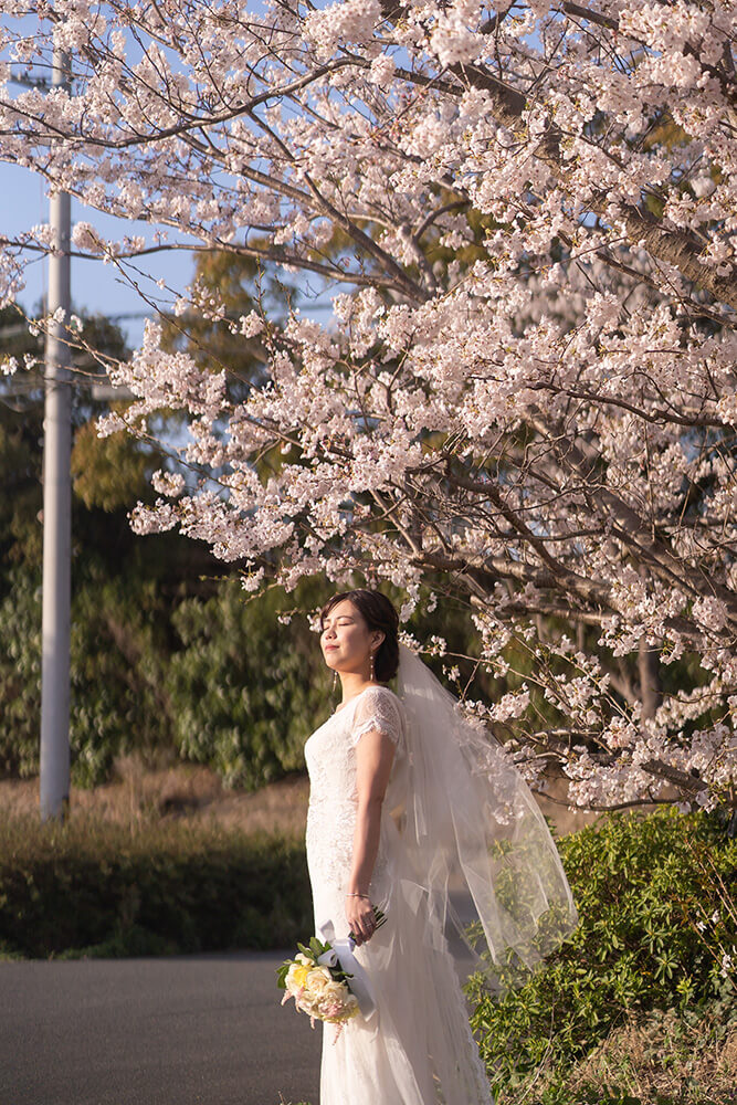 PHOTOGRAPHER -Nagoya- TETSU[Nagoya/Japan]