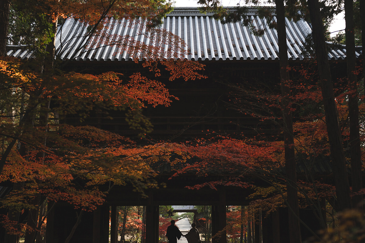 PHOTOGRAPHER -okayama-/kaneda[okayama/Japan]